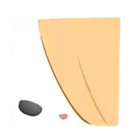 Bilisticker_1749621385001_by_Enlysure_sticker_bot