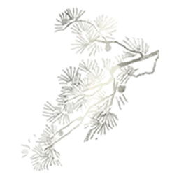 Bilisticker_1762517107001_by_Enlysure_sticker_bot