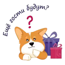 Birthdaycorgi