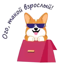 Birthdaycorgi