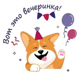 Birthdaycorgi