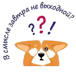 Birthdaycorgi