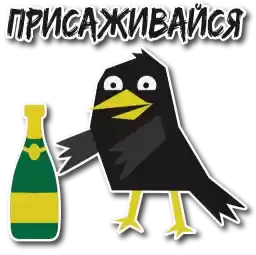 BlackbirdMerl