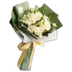 Bloombabybloom