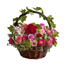 Bloombabybloom