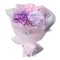 Bloombabybloom