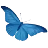 BlueAphroditeDelenefer_by_TgEmodziBot