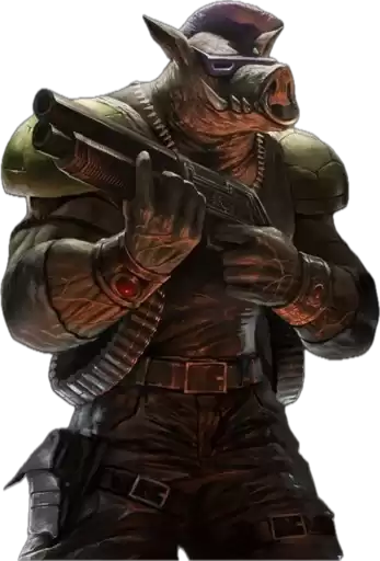 Boar2024