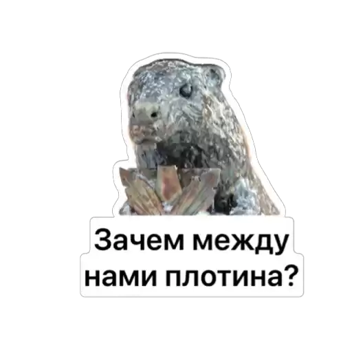BobrTyumen