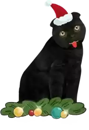 BublikM24