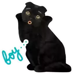 BublikM24