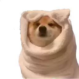 ByTariq
