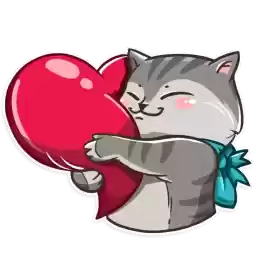 Cat_Collection