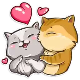 Cat_Collection