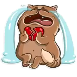Cat_Collection