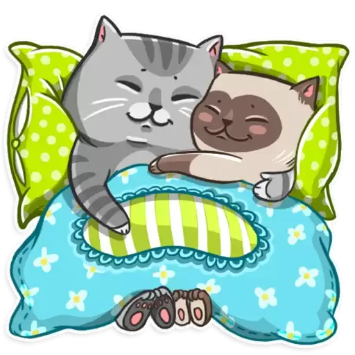 Cat_Collection