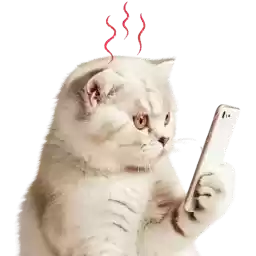 Cat_Squad_Nyasticks2