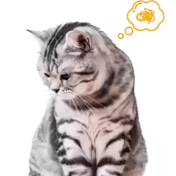 Cat_Squad_Nyasticks2