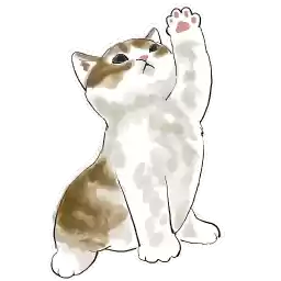 Catchat_Nyasticks