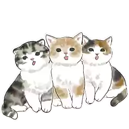 Catchat_Nyasticks
