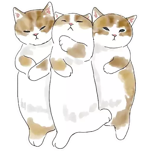 Catchat_Nyasticks