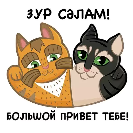 Cats_MilliardTatar