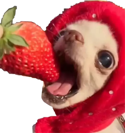 ChertilaVG