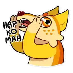 Chim_fox