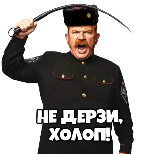 Chuvstvo_Ranga