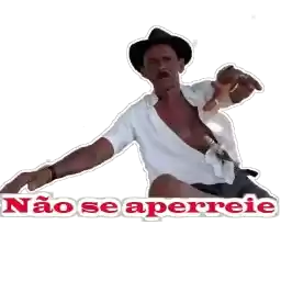CoveiroStickers46