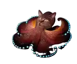 CrazyCatFaces