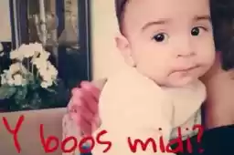 Creamy