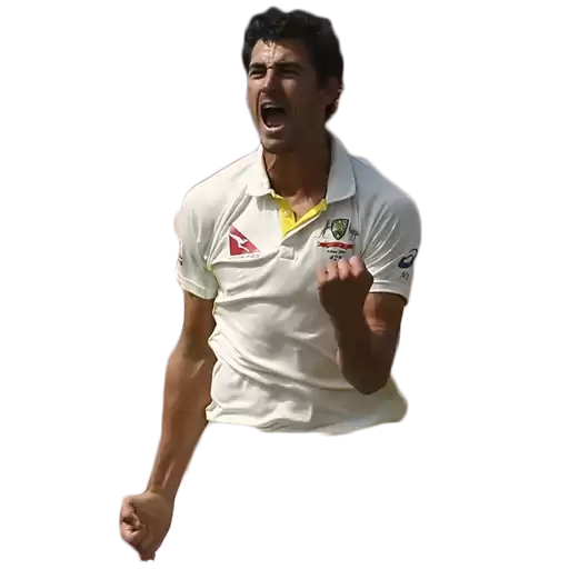 Cricket