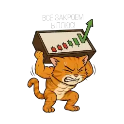 CryptCat