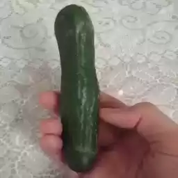 Cucumber