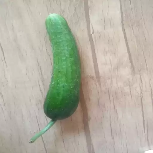 Cucumber