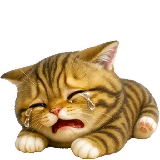Cute_Chabby_Kitten_Nyasticks