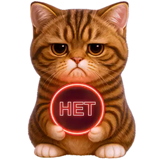 Cute_Chabby_Kitten_Nyasticks