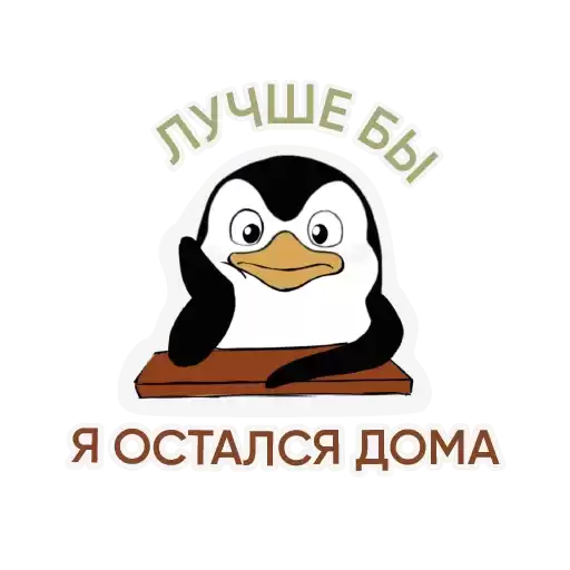 DOM_RF_penguin