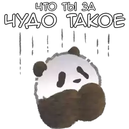 Daily_useful_Panda_Nyasticks_rus