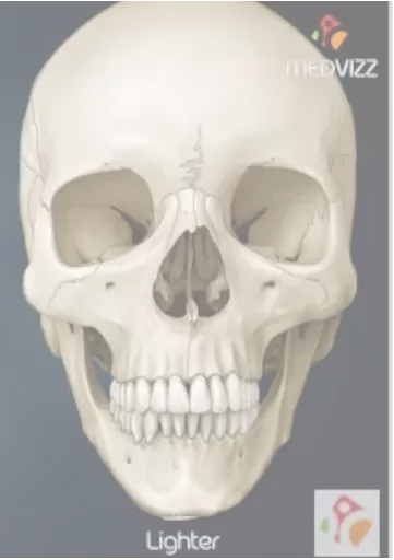DetectiveSkullsTransvestigationMasksPack