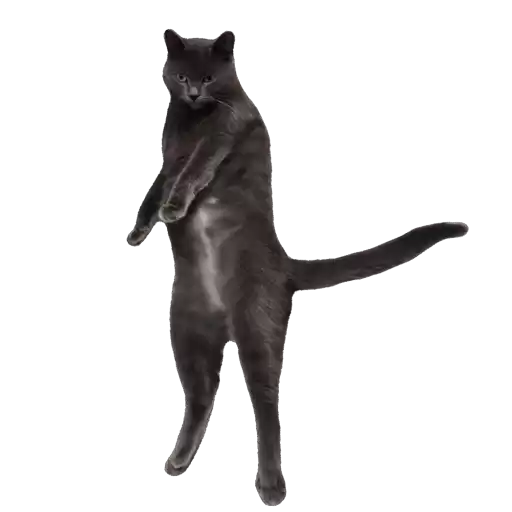 Dobriy_kot