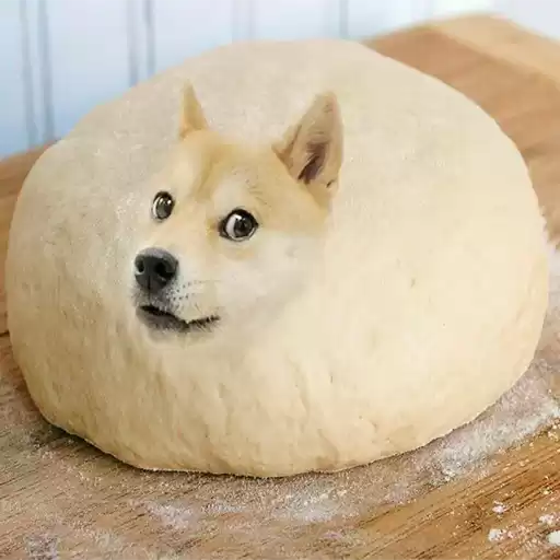 Dog_Day_MTS