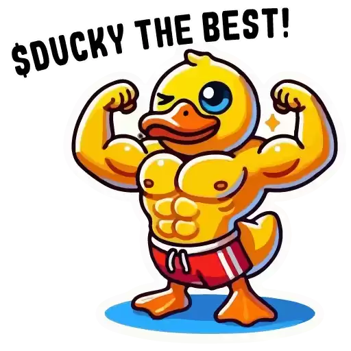 DuckyStickerss