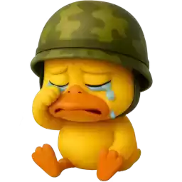 Ducky_So_brave_Nyasticks