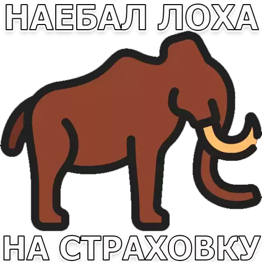 EFTpack