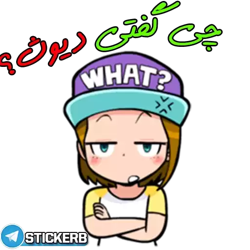 FARIDE_sTICKERB