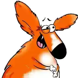 FatCorgi