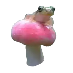 Frogandfrogs