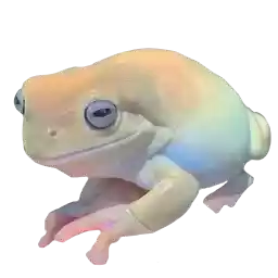 Frogandfrogs